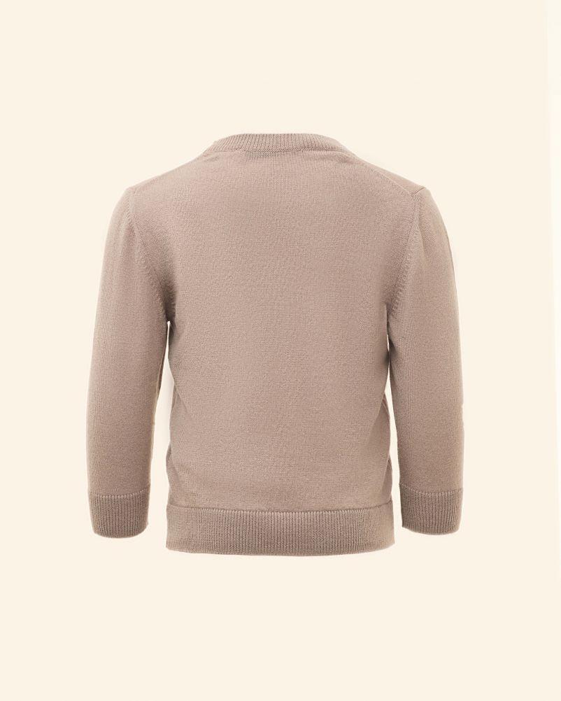 Maglione in 100% Cashmere Cariaggi